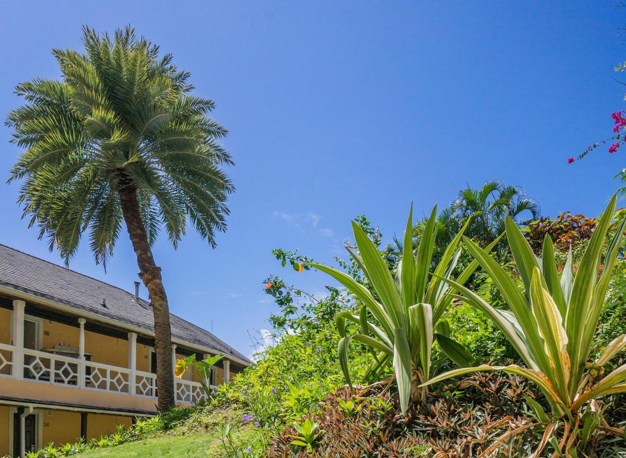 Bodyholiday St Lucia Gros Islet Exterior foto
